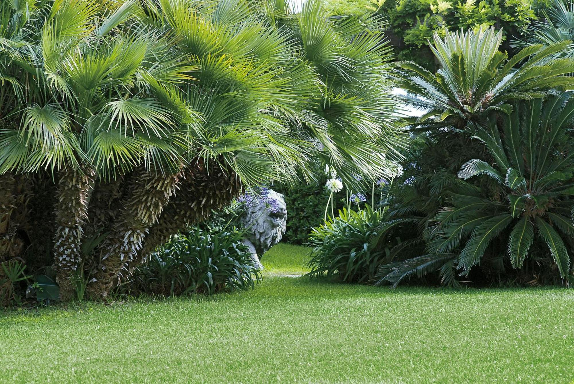 Grand Hotel Del Mare Resort & Spa Bordighera Exterior foto